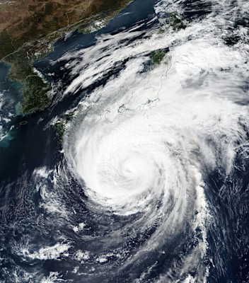 typhoon19-10-11-902x1024